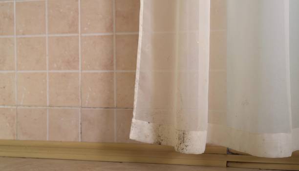 Best Real Estate Mold Inspection  in Indialantic, FL
