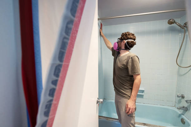 Best Basement Mold Removal  in Indialantic, FL