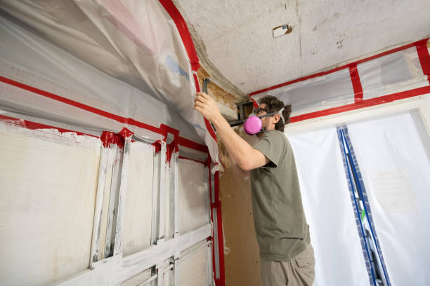 Best Mold Remediation for Healthcare Facilities  in Indialantic, FL