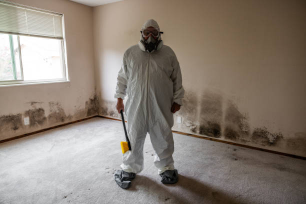 Biohazard Mold Removal in Indialantic, FL